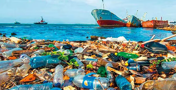 নীল জলে ভাসছে 'নীরব ঘাতক'!